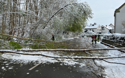 Einsatz: Umgestürzte Bäume nach Schneefall