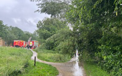 Einsatz: Baum auf Emscherweg umgestürzt
