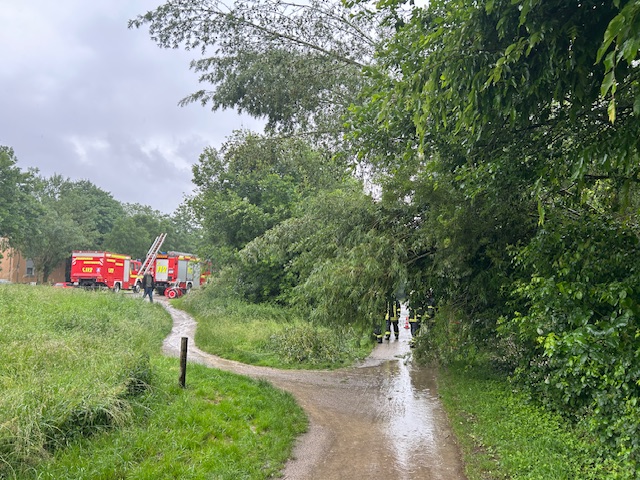 Einsatz: Baum auf Emscherweg umgestürzt